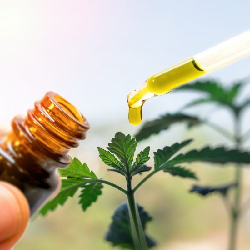 cbd-oil-is-a-novel-superfood-and-medicine_t20_Yw38rx